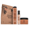 Lakmé Teknia Hair Care Argan Oil Pack, 300 ml +, 250 ml +, 125 ml