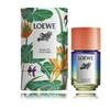 Loewe Paula's Ibiza Eclectic EDT tualetinis vanduo unisex, 50 ml