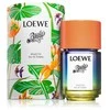 Loewe Paula's Ibiza Eclectic EDT tualetinis vanduo unisex, 100 ml