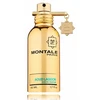 Montale Paris Montale Aoud Lagoon EDP parfumuotas vanduo unisex, 50 ml