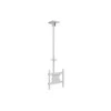 Laikiklis Multibrackets MB-2494 TV Ceiling mount iki 55" / 70kg