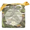 Nesti Dante Gli Officinali Soap Ivy & Clove 200 g