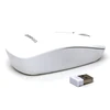 Pelė Omega OMEGA Bevielė pelė Pelė WIRELESS 1200DPI Baltas [45865]