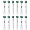 Braun Oral-B CrossAction , 12 pc(s), Baltas, 3 month(s), Oral-B, Box