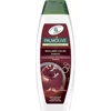 Palmolive Naturals Brilliant Color Šampūnas, 350 ml