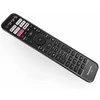 Panasonic RC700E Original Remote TV controller Voice function