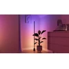 „Philips Hue Play Extra“ grindų lempa