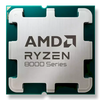 Procesorius AMD Ryzen 5 8400F Tray 36 units