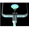 Kabelis USB TelForceOne QUALO kabelis świecący USB-C-Lightning 1M 3A balta ir/sidabrinė QCS-CL-00