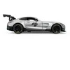 Nuotoliniu būdu valdomas automobilis Mercedes AMG GT2 R/C, mastelis 1:14, Rastar 10220