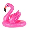 RoGer vaikų plaukimo čiužinys Flamingo