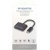 „RoGer“ DisplayPort į HDMI + VGA adapteris v1.4 / 4K@30Hz