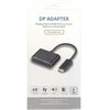 „RoGer“ DisplayPort į HDMI + VGA adapteris v1.4 / 4K@30Hz