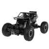 RoGer visureigis vikšrinis R/C žaislinis automobilis 1:16