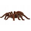 Roger Nuotoliniu būdu valdomas TARANTULA voras + PILOTAS