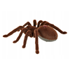 Roger Nuotoliniu būdu valdomas TARANTULA voras + PILOTAS
