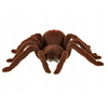 Roger Nuotoliniu būdu valdomas TARANTULA voras + PILOTAS