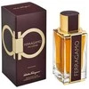Salvatore Ferragamo Spicy Leather Special Edition EDP parfumuotas vanduo vyrams, 100 ml