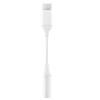 Adapteris - SAMSUNG USB-C Ausinių Jack Adapteris Moteriškas į Vyrą Balta