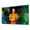 Monitorius SAMSUNG 65" QB65C UHD 350 NITS 16/7 SOC WIFI