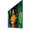 Monitorius SAMSUNG 65" QB65C UHD 350 NITS 16/7 SOC WIFI