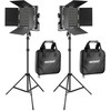 Sieninis šviestuvas Neewer Naujesnis 660 Bi Color LED studijinis komplektas, dvi 40W 3200-5600K lempos + stovai + vartai