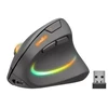 Speedlink Pelė PIAVO PRO. Illuminated Rechargeable Vertical retail
