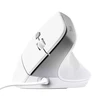 Trust Bayo II pelė Office dešinei rankai USB Type-A Optinė 2400 DPI