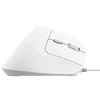 Trust Bayo II pelė Office dešinei rankai USB Type-A Optinė 2400 DPI