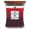 WoodWick Aromatinė žvakė (Sun Ripened Berries), 275 g