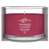 Yankee Candle Santa On Skis kvepianti žvakė, 37 g