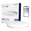 Yeelight LED išmanusis lubų šviestuvas Arwen 450S