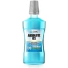 Zidac Laboratories Absolute Ice Coolmint Mouthwash 500 ml