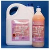 WC valiklis EWOL PROFESSIONAL Formula Sanitar gelinis 1 l
