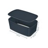 Leitz Daiktadėžė Cozy L:MyBox su dangteliu, maža, pilkos sp.
