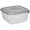 NHG Plast Team Šaldytuvo indas Polar, su dangteliu, PPR, 2,5 l, 20 x 20 cm, H 9,9 cm, vnt