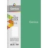 Genius Sąsiuvinis Schoolboy, B5, 80 lapų, 70 gsm, langeliais