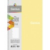 genius Sąsiuvinis Schoolboy, B5, 80 lapų, 70 gsm, langeliais