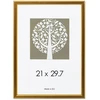 Savex Nuotraukų rėmelis, plastikinis, A4, 21x29,7 cm, aukso sp.