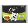 Šlapias ėdalas šunims CESAR, rinkinys su vištiena ir morkomis, jautiena ir daržovėmis, 4x100 g