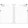 Timer Mokslo knyga Alice Diena, 2025/2026 m,150x184 mm su spirale