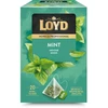 Žolelių arbatos gėrimas LOYD HORECA mėtų skonio piramidė, 20 x 2g