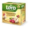 Žolelių ir vaisių arbata LOYD, spanguolių ir imbierų skonio, 20 x 2g