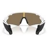 OAKLEY Stunt Devil Matte Baltas/Prizm 24k sportiniai akiniai