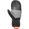REUSCH WORLDCUP WARRIOR R-TEX® XT vyriškos slidinėjimo pirštinės (Dydis: 9.5)