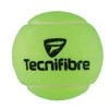 TECNIFIBRE CHAMPION (4) teniso kamuoliukai
