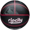 WILSON NBA TEAM CITY COLLECTOR PORTLAND TRAIL BLAZERS krepšinio kamuolys