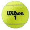 WILSON ROLAND GARROS (4x2) teniso kamuoliukai