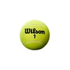 WILSON ROLAND GARROS 5 MINI JUMBO teniso kamuoliukas