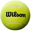 WILSON ROLAND GARROS 9 JUMBO kamuolys